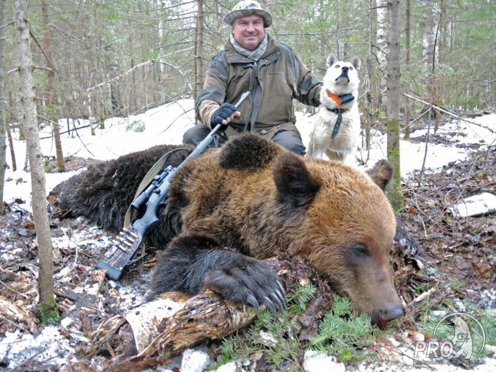 охота на медведя на берлоге порвал собаку